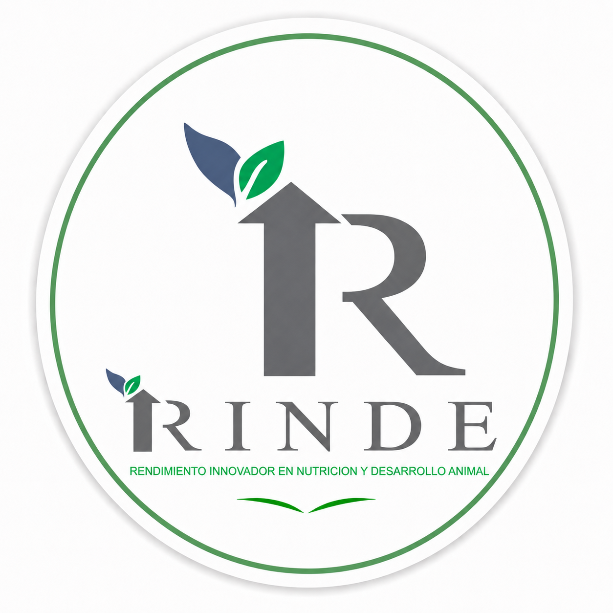 RINDE